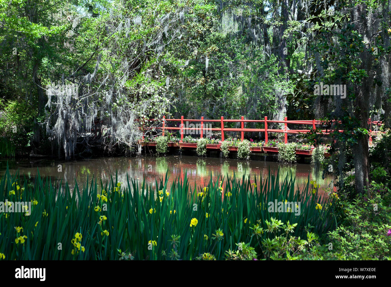 Die rote Brücke in Magnolia Plantation und Gärten in der Nähe von Charleston, South Carolina, USA. Stockfoto