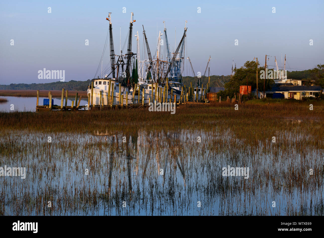 Fischerboote der Gay Fish Company zusammen Ward Creek, Frogmore, South Carolina, USA angedockt. Stockfoto