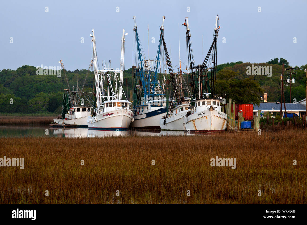 Fischerboote der Gay Fish Company zusammen Ward Creek, Frogmore, South Carolina, USA angedockt. Stockfoto