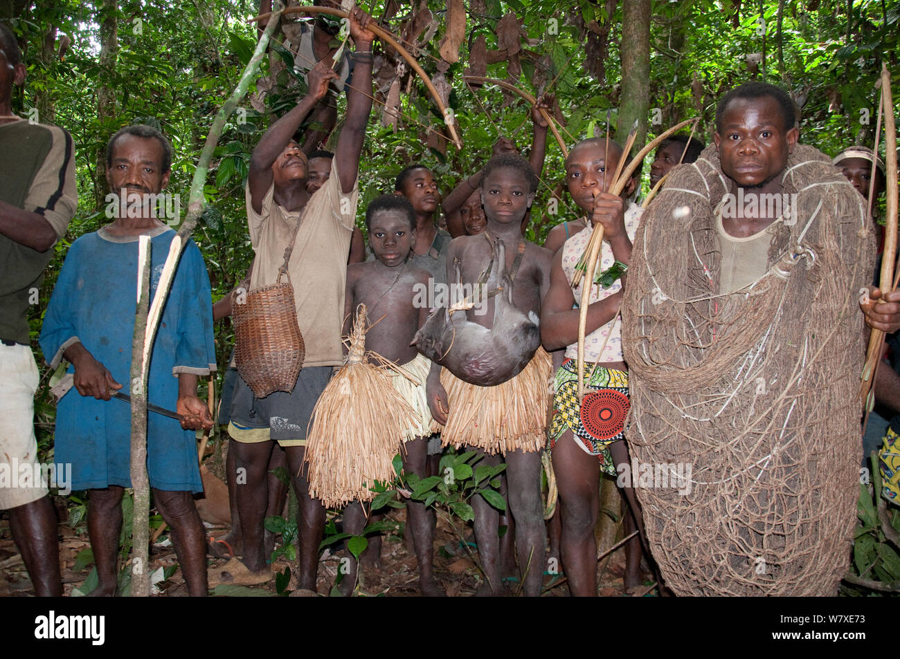 Mbuti pygmy Einleitung Jagd, mit zwei Jungen in traditionellen Blau Body Paint und Stroh Rock. Eine junge hält Fang von Blue Duiker (Philantomba monticola). Sowie die Verwendung von Bögen und Pfeile in dieser Jagd Sie sind auch über das Werfen Netze, die man ganz rechts im Bild. Ituri Rainforest, Demokratische Republik Kongo, Afrika, November 2011. Stockfoto