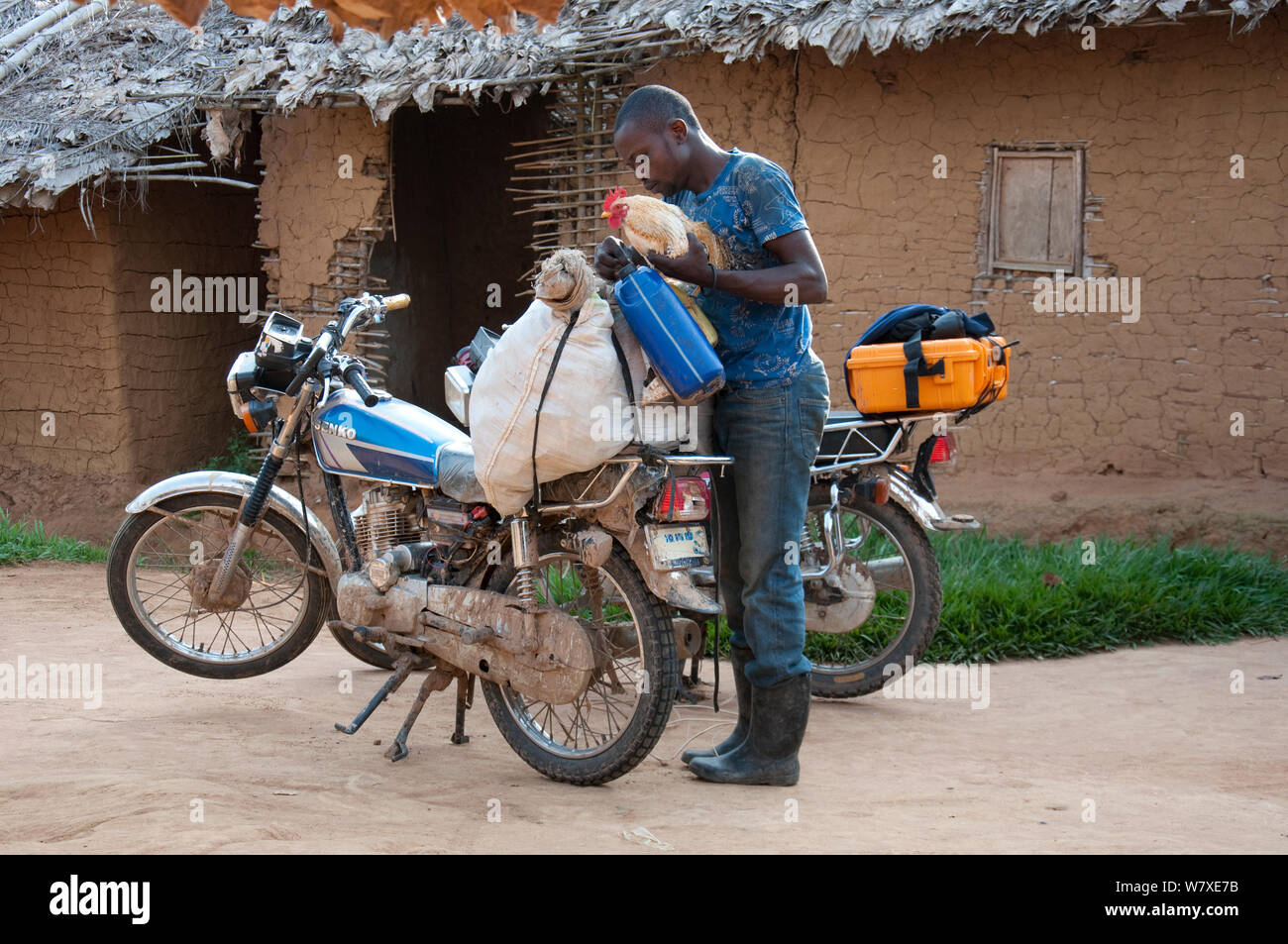 Ituri Wald Pygmy Führungen mit Motorrädern, Demokratische Republik Kongo, Afrika, Dezember 2011. Stockfoto