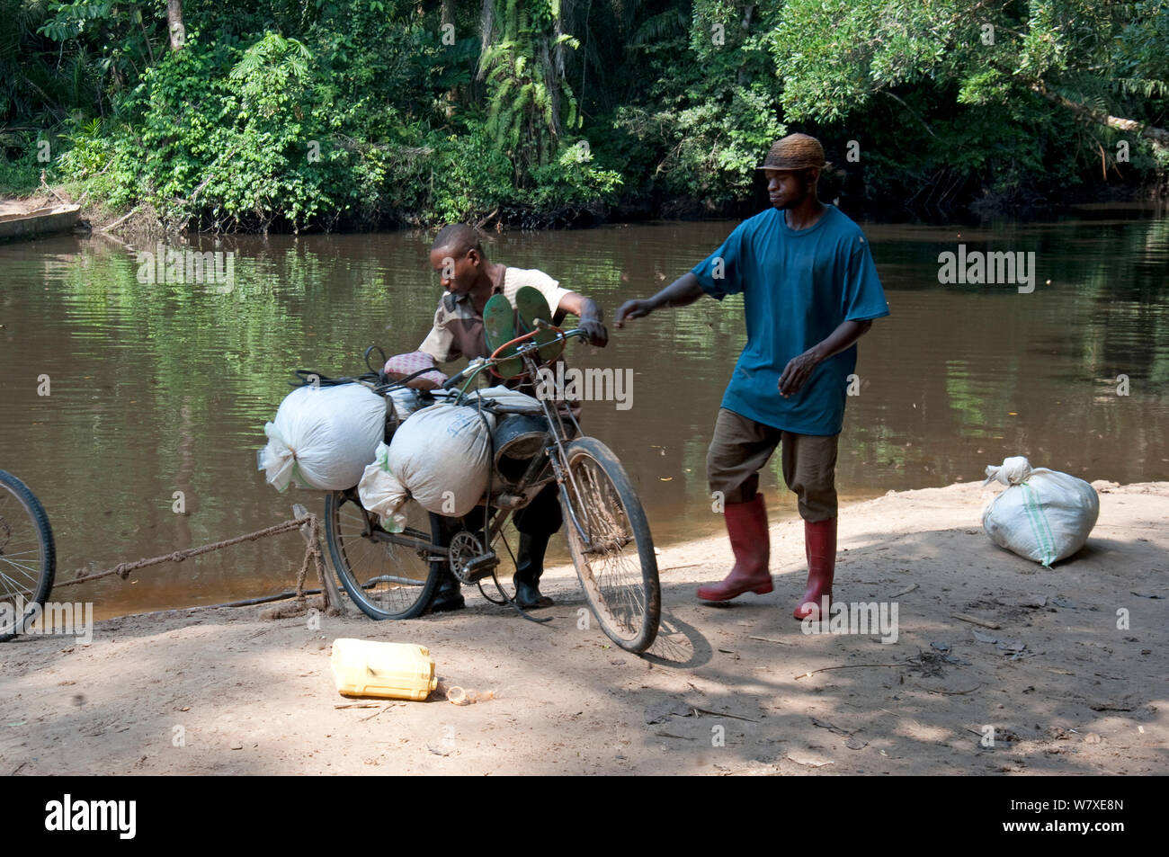 Torhüter den Transport auf Fahrrädern, Demokratische Republik Kongo, Afrika, Dezember 2012. Stockfoto