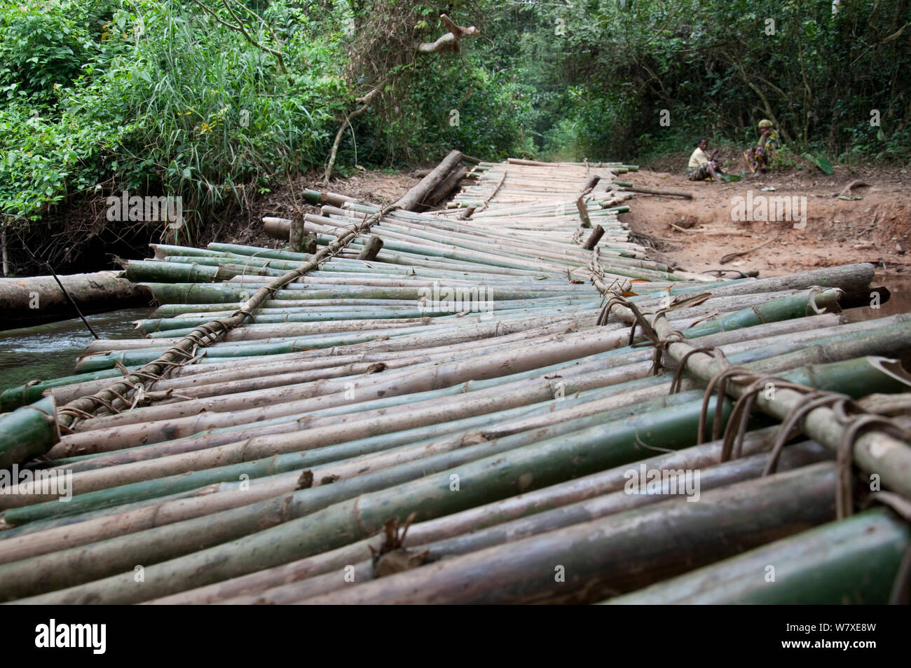 Bamboo Brücke, Ituri Wald, Demokratische Republik Kongo, Afrika, Dezember 2011. Stockfoto