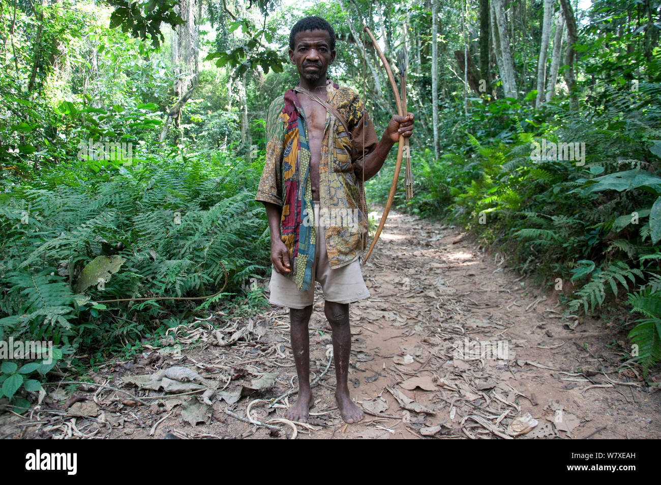 Mbuti Pygmy Mann, mit Pfeil und Bogen. Pfeile haben Bügeleisen tipps und sind für die Jagd Kreaturen auf dem Boden verwendet. Die Pfeile ohne Eisen Tipps für die Aufnahme von Tieren in den Bäumen verwendet werden, Ituri Rainforest. Demokratische Republik Kongo, Afrika, Januar 2012. Stockfoto