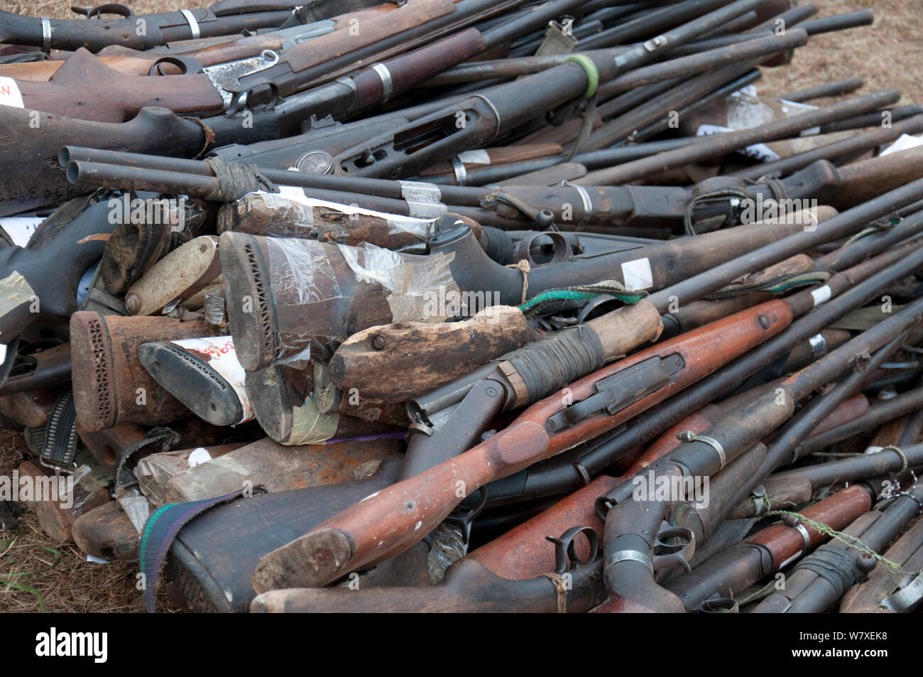 Beschlagnahmten Gewehren von Wilderern, etwa während der Regierung Côte d'Ivoire verbrannt zu brennen, Libreville, Gabun, 6. Juni 2012. Stockfoto