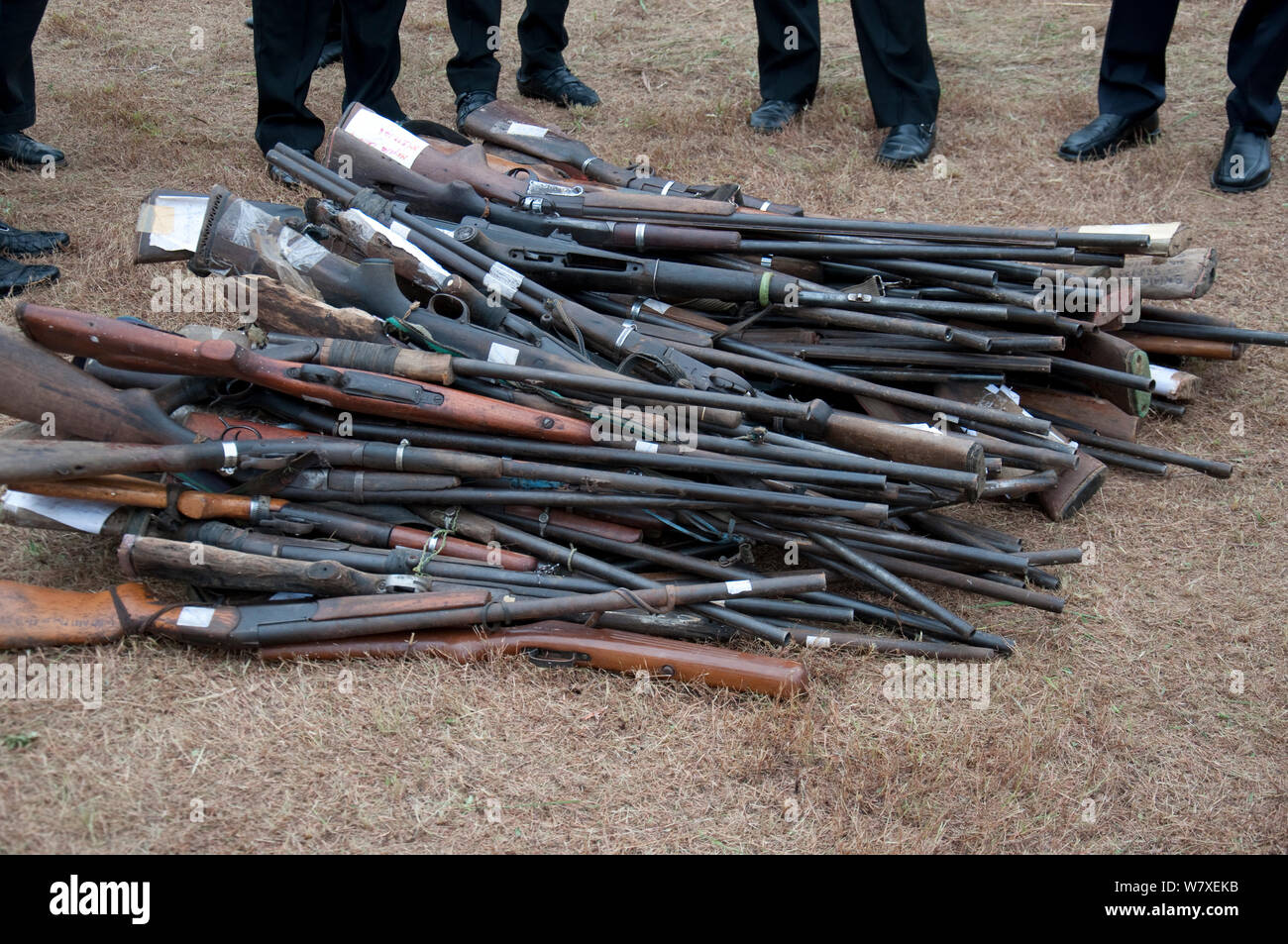 Beschlagnahmten Gewehren von Wilderern, etwa während der Regierung Côte d'Ivoire verbrannt zu brennen, Libreville, Gabun, 6. Juni 2012. Stockfoto