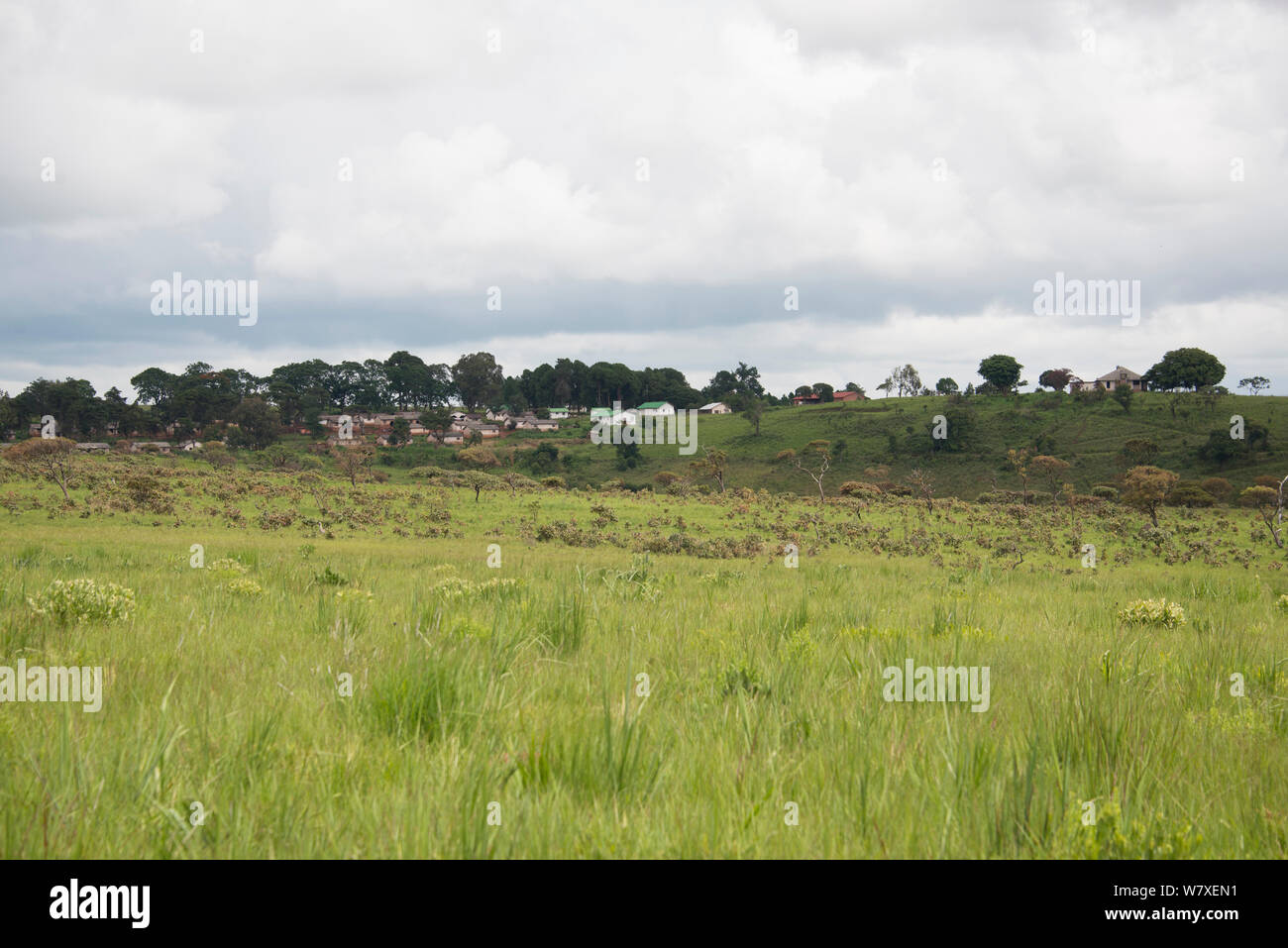 Landschaft Lebensraum der letzten Herde von Grant &#39;s Zebra (Equus quagga boehmi) in der DR Kongo. Upemba-nationalpark, Demokratische Republik Kongo, März 2012. Stockfoto