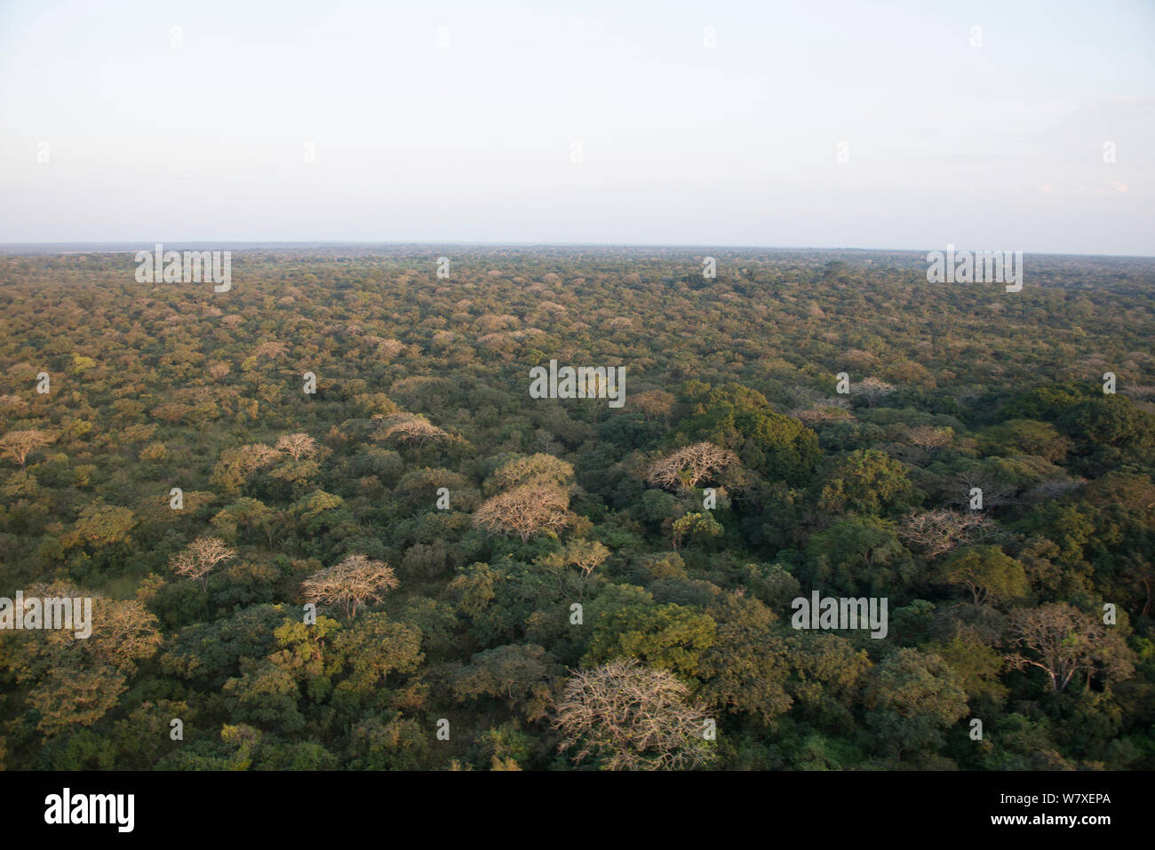 Luftbild von Garamba National Park in der Demokratischen Republik Kongo, Februar 2012. Stockfoto