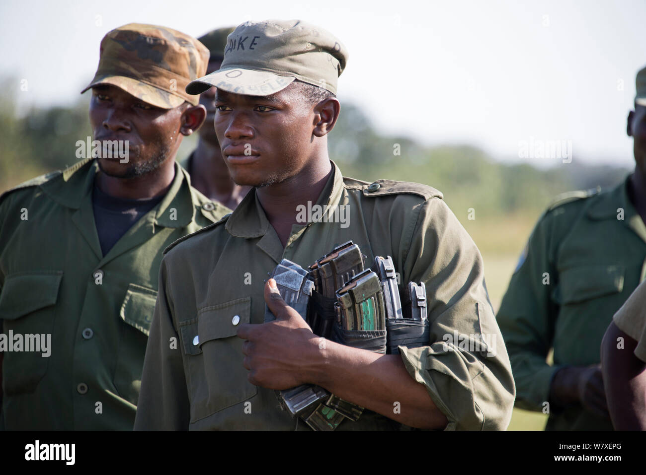 Park Ranger mit Gewehr Zeitschriften, Garamba National Park in der Demokratischen Republik Kongo, Februar 2012. Stockfoto
