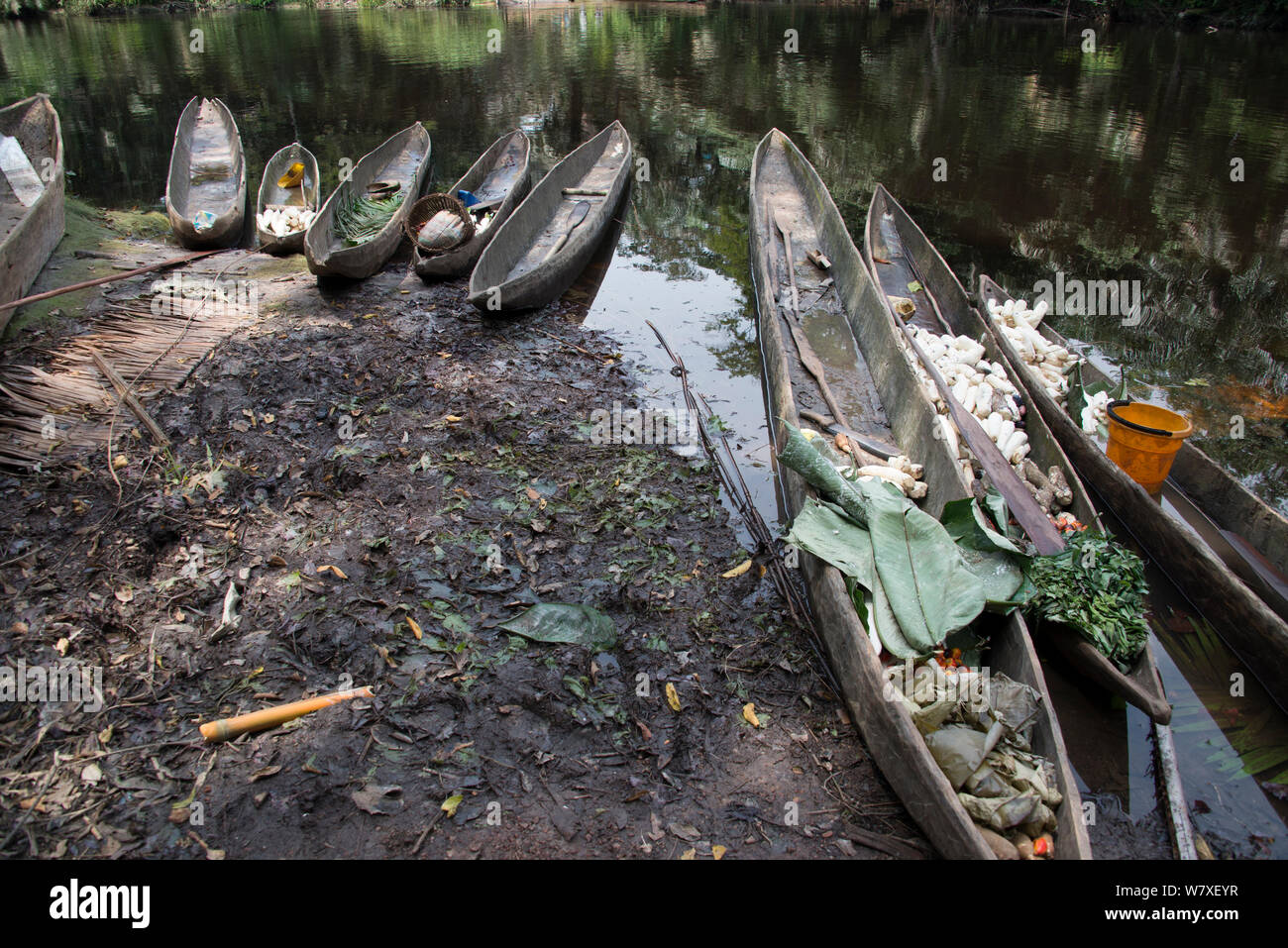 Dugout hölzernen Kanus am Ufer des Flusses, Salonga National Park, Equateur, Demokratische Republik Kongo, Mai 2012. Stockfoto