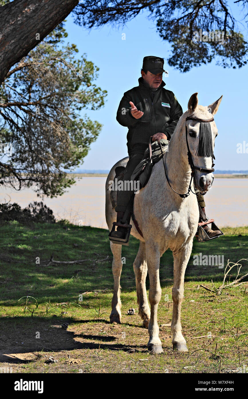 Park Ranger auf dem Pferd neben dem Fluss Guadalquivir, Donana Nationalpark, Andalusien, Spanien, März 2014. Stockfoto