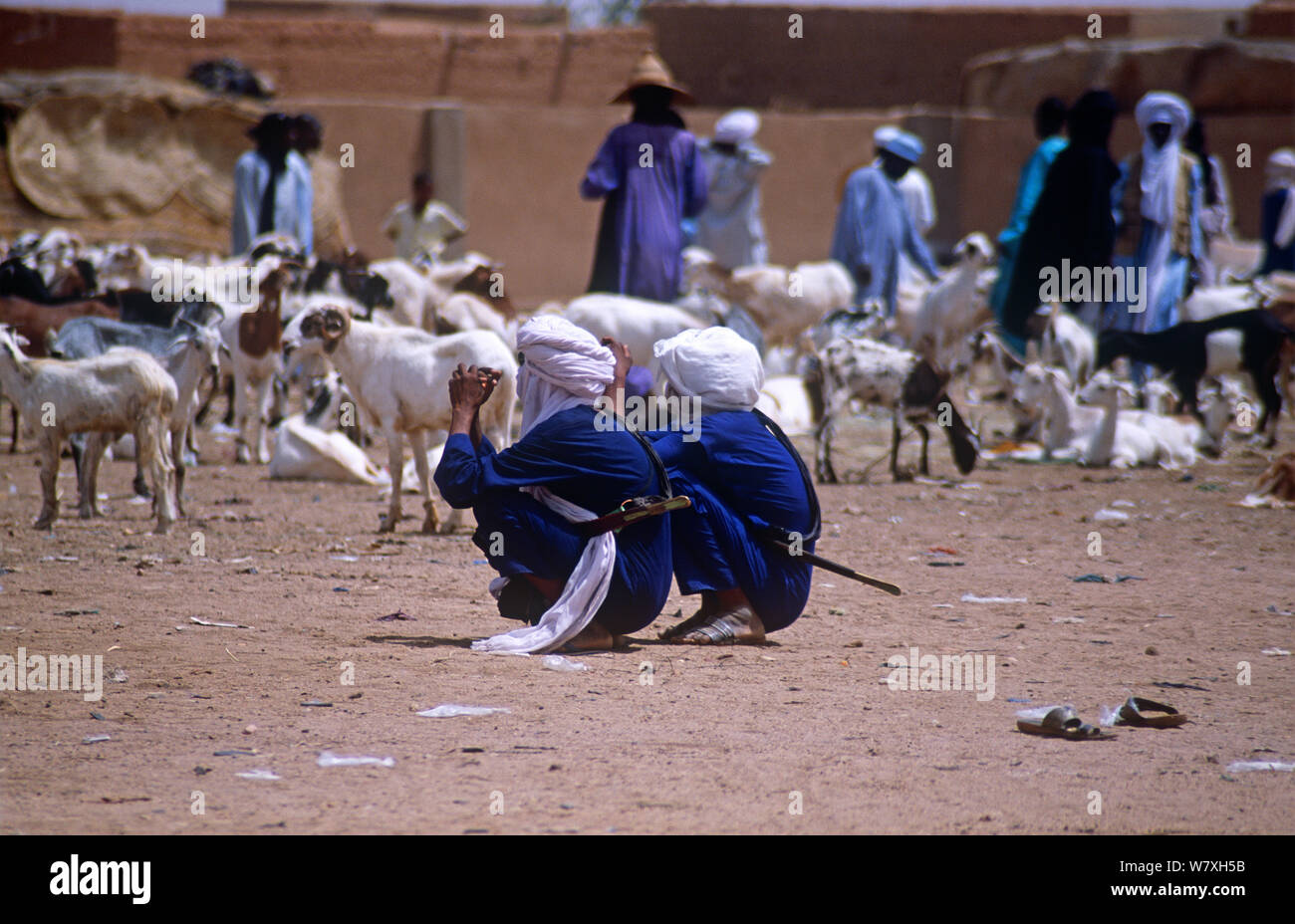 Tuareg Händlern an den Viehmarkt, Agadez, Niger, 2005. Stockfoto