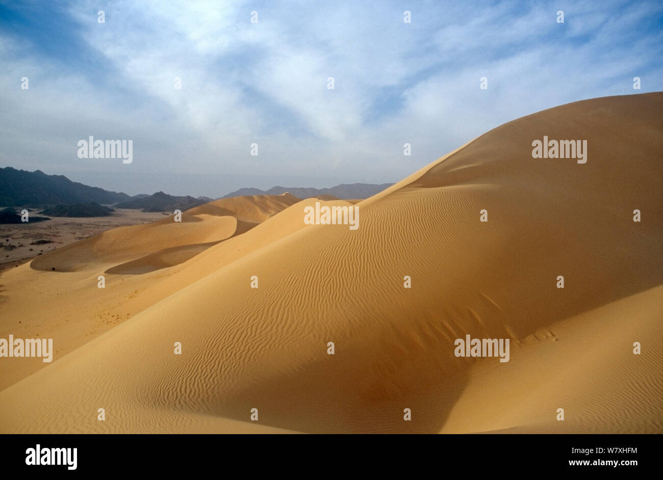 Landschaft der zentralen Sahara, Niger, 2004. Stockfoto