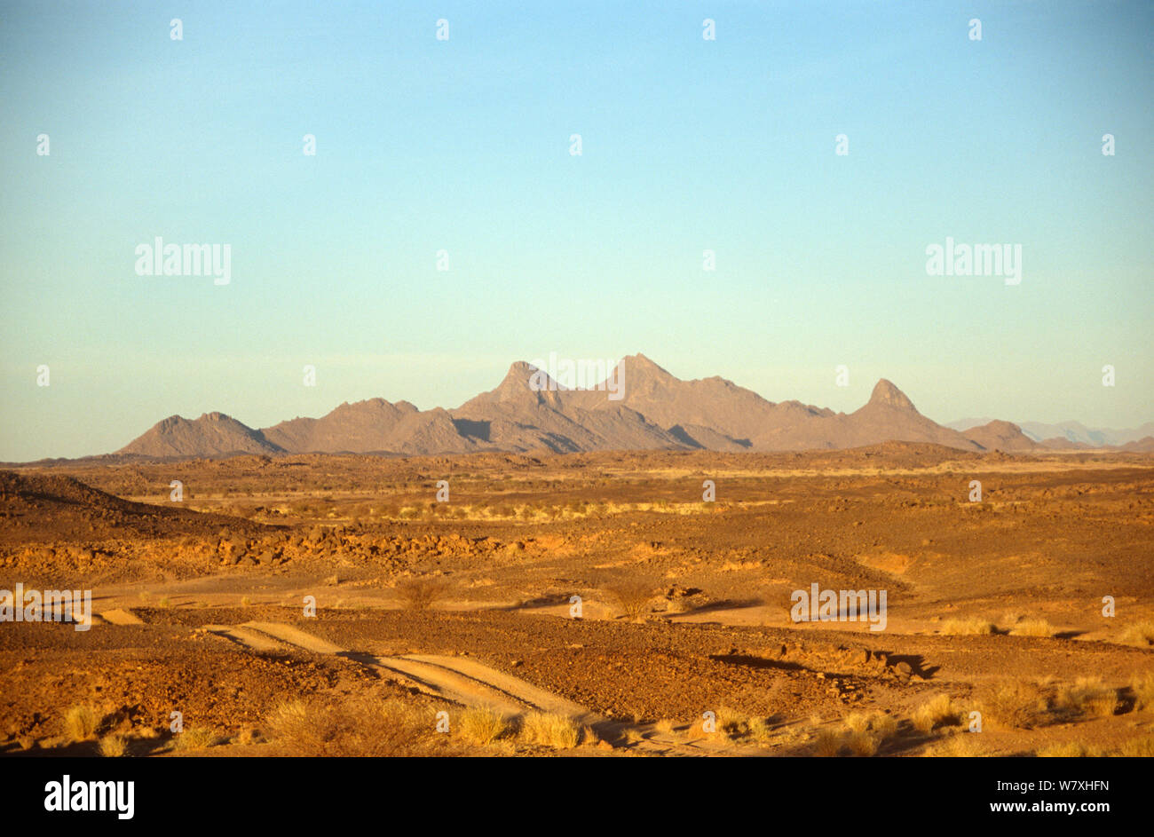 Landschaft der zentralen Sahara, Niger, 2004. Stockfoto
