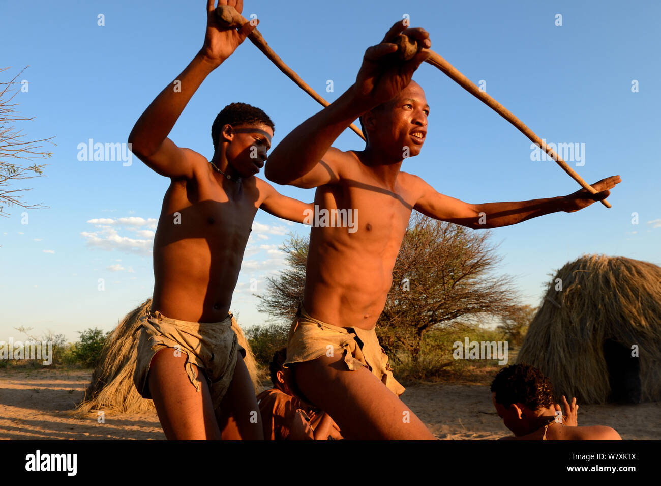 Familie von naro San Buschmännern Durchführung traditioneller Tanz, Kalahari, Ghanzi region, Botswana, Afrika. Trockene Jahreszeit, Oktober 2014. Stockfoto
