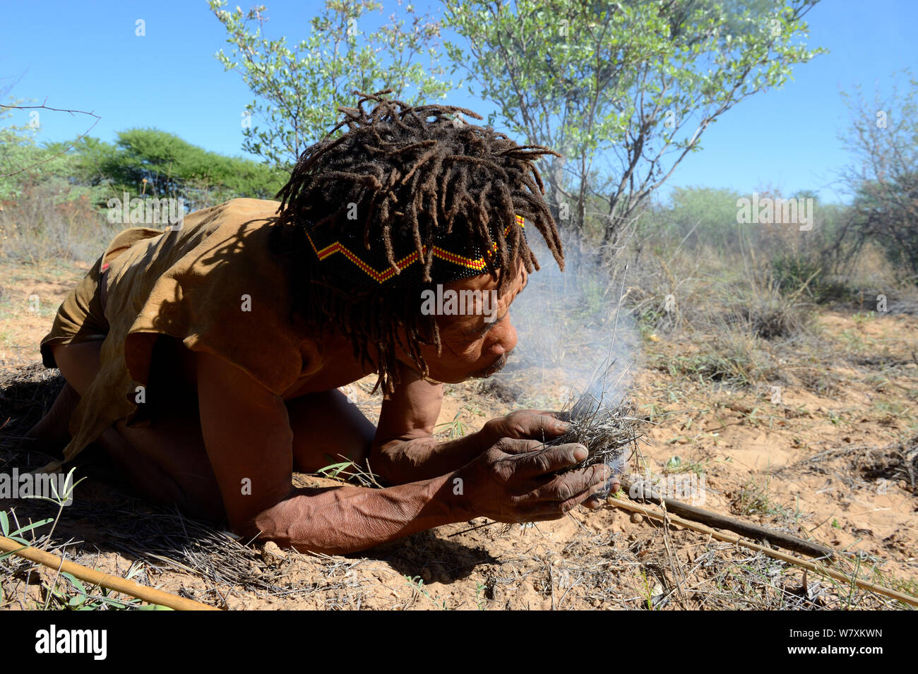 Naro San Buschmänner Feuer machen in traditioneller Weise, Kalahari, Ghanzi region, Botswana, Afrika. Trockene Jahreszeit, Oktober 2014. Stockfoto