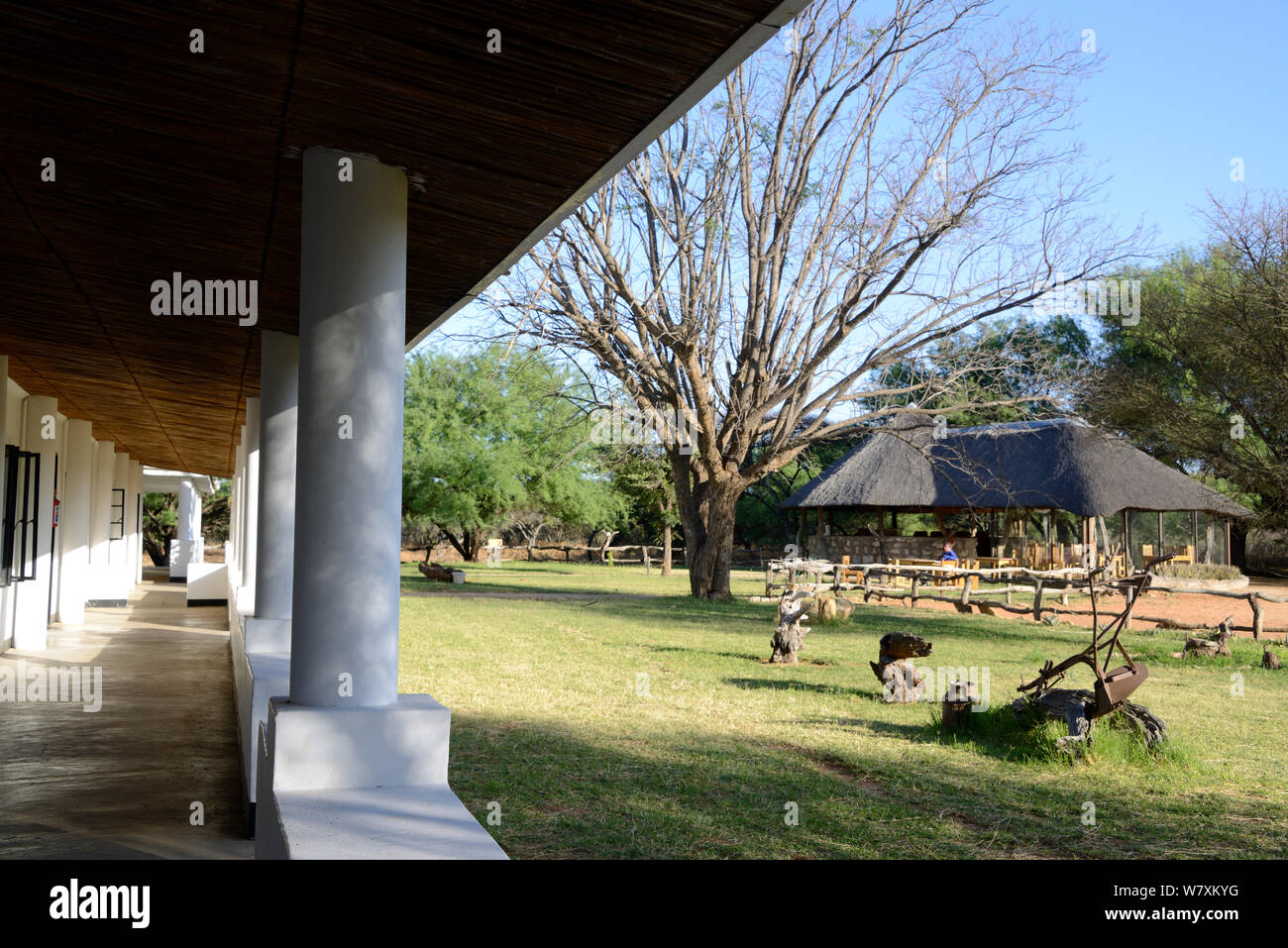 Dqae Qare: San Lodge, Kalahari, D&#39;Kar, Ghanzi, Botswana, Afrika. Oktober 2014. Stockfoto