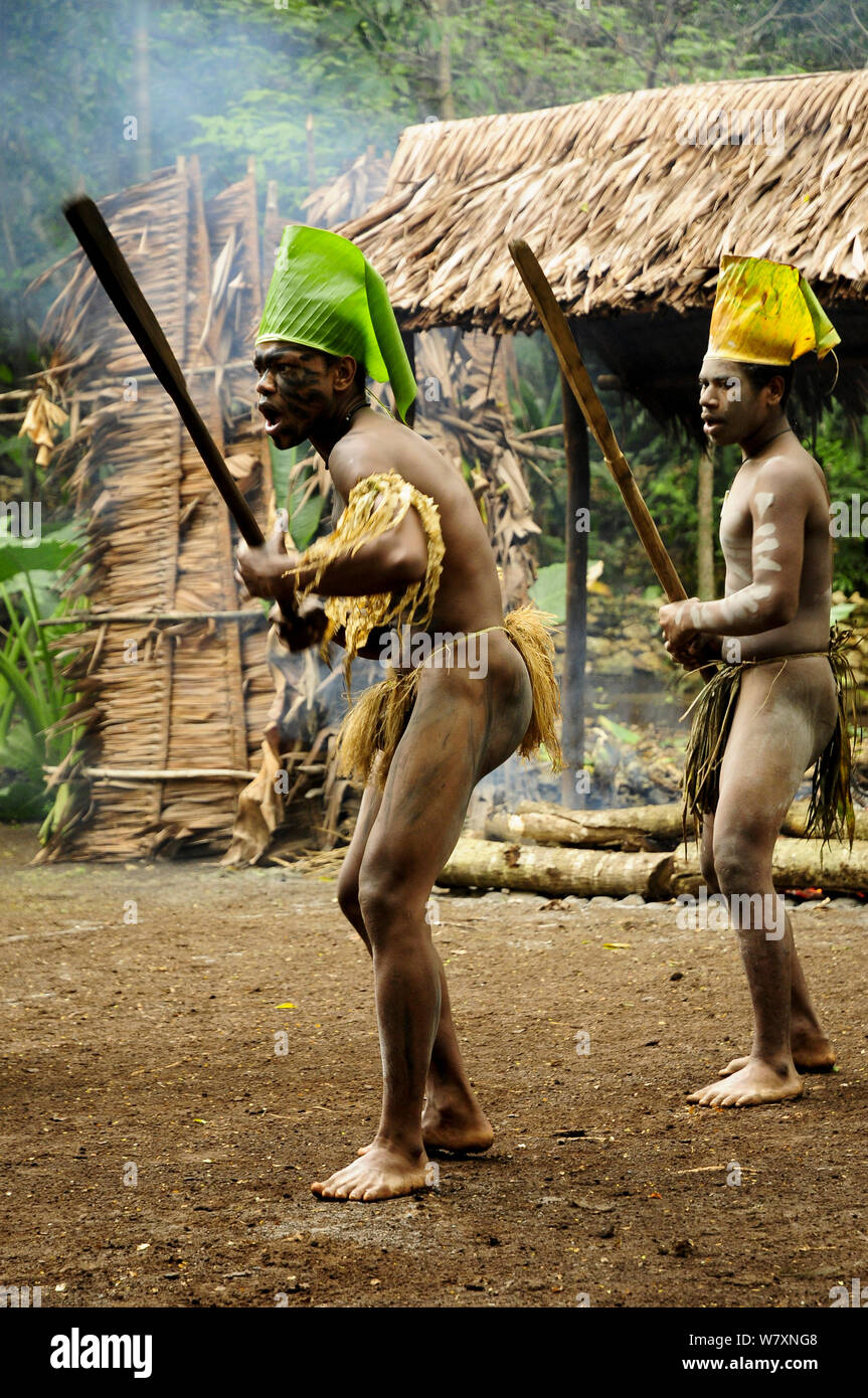 Männer im traditionellen Kostüm während Tribal Dance. Insel Efate, Shefa Provinz, Vanuatu, September 2008. Stockfoto