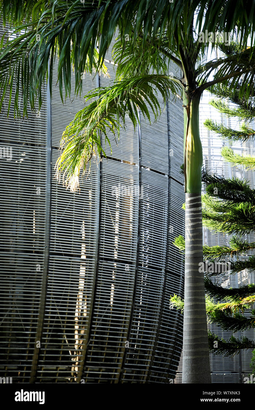 Tjibaou Kulturzentrum von Renzo Piano entworfen. Das Gebäude ist so konzipiert, dass es mit den umliegenden Wald integriert werden. Noumea, Neukaledonien, September 2008. Stockfoto