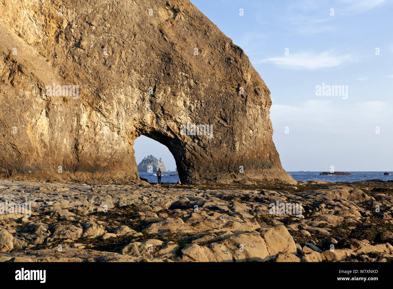 Loch-in-der-Wand, Rialto Beach, Olympic National Park, Washington, USA, Mai 2014. Stockfoto Loch-in-der-Wand, Rialto Beach, Olympic National Park, Washington, USA, Mai 2014. Stockfoto