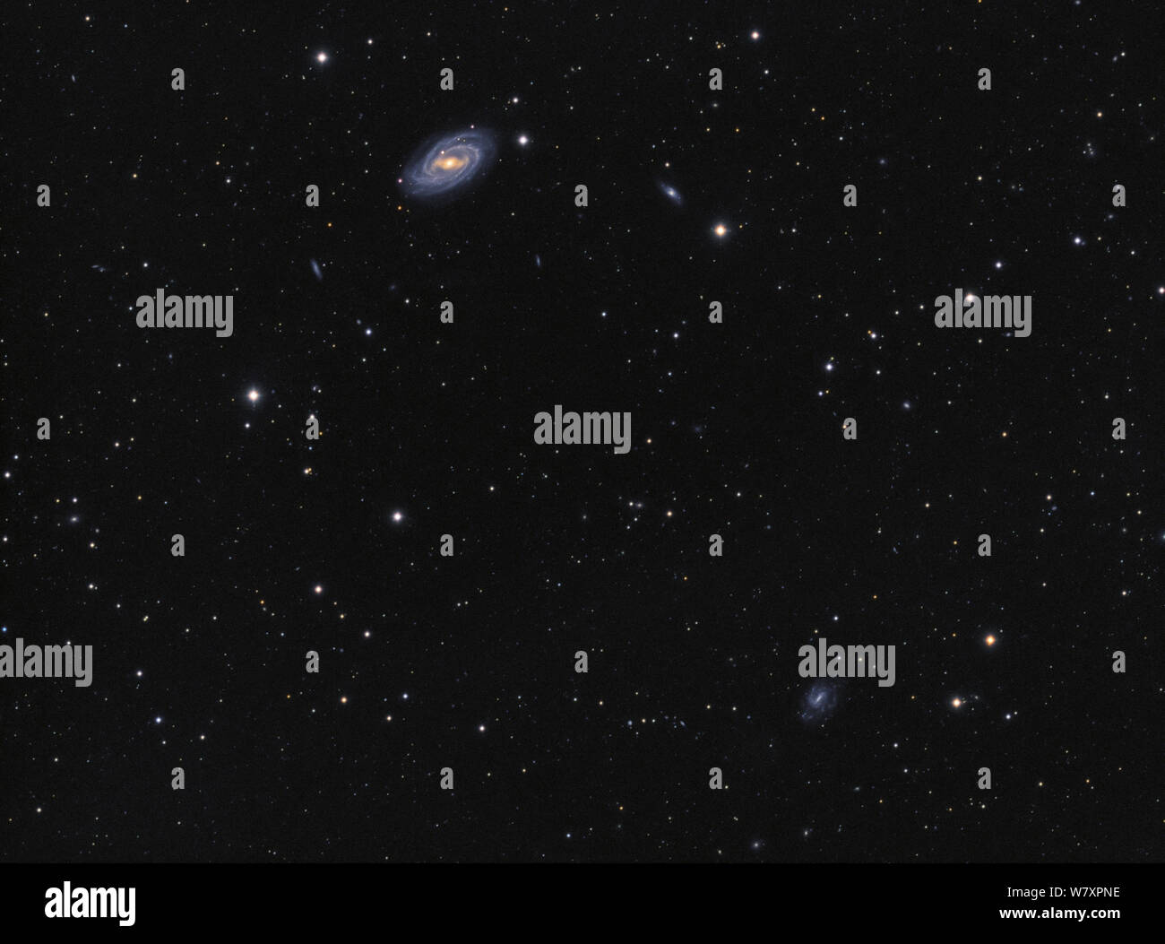 Galaxie M 109 (Messier 109) und über 40 kleine Galaxien im Sternbild Ursa Major. Amateurfotografie mit apochromatische Refraktor Teleskop ein Stockfoto