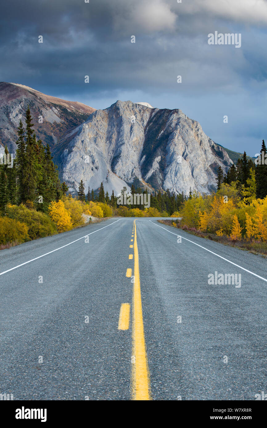 Die Straße nach Skagway mit herbstlichen Bäume und Berg, Süd Klondike Highway, Yukon, Kanada, September 2013. Stockfoto