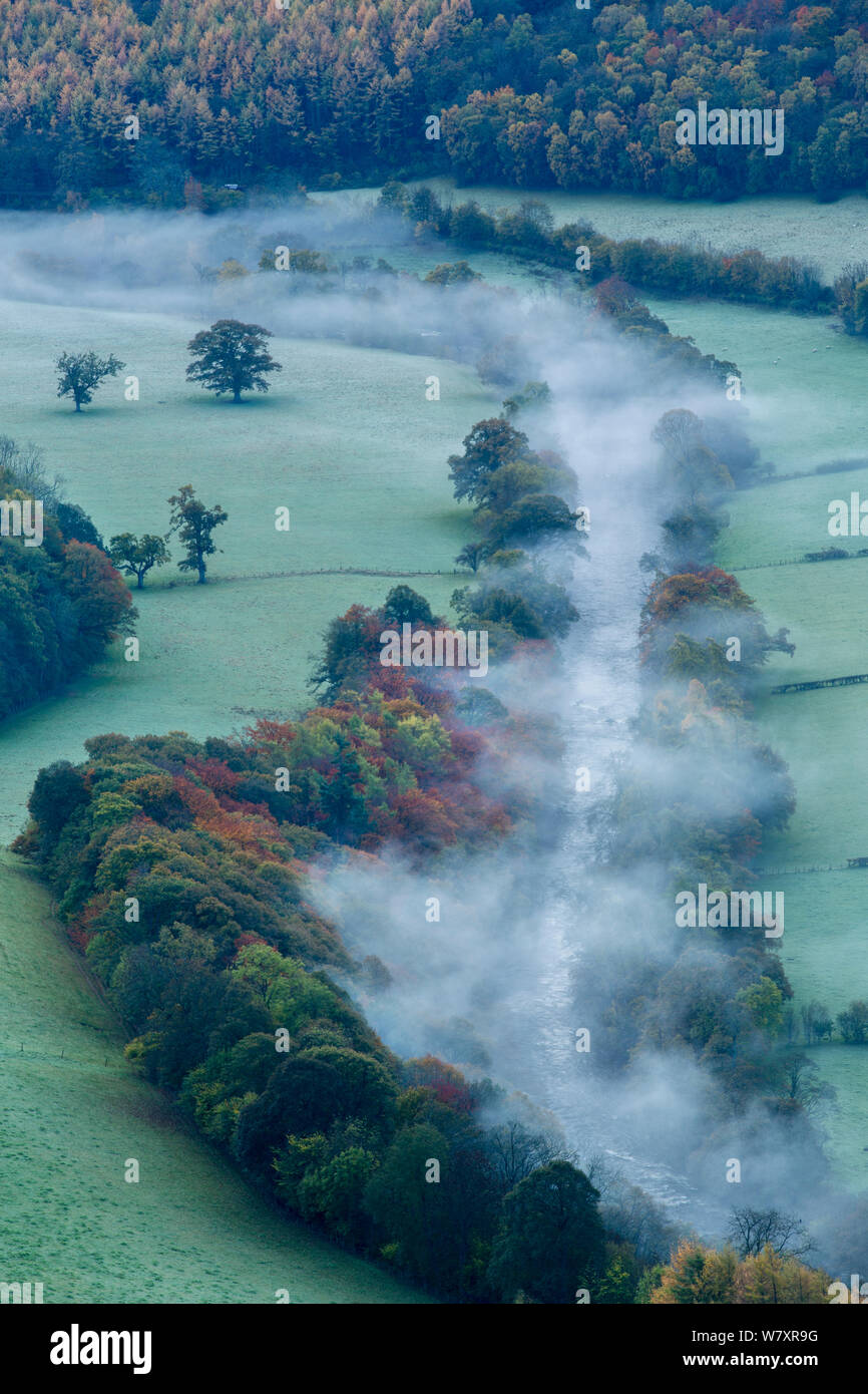 Herbst Nebel in Dee Tal (Dyffryn Dyfrdwy) in der Nähe von Llangollen, Denbighshire, Wales, UK, November 2013. Stockfoto