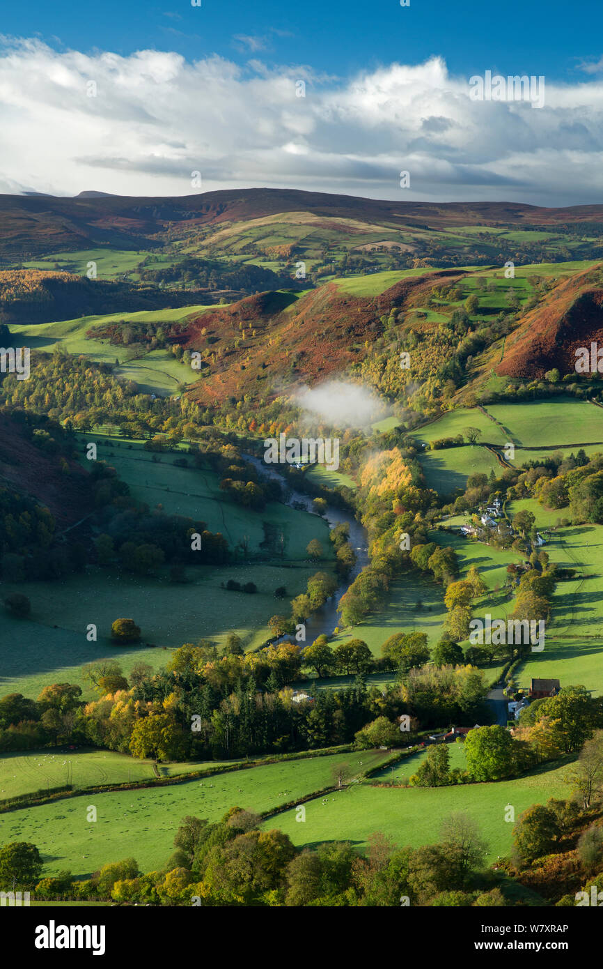 Ländliche Landschaft mit Feldern von Schafen und kleines Dorf, Dee Tal (Dyffryn Dyfrdwy) in der Nähe von Llangollen, Denbighshire, Wales, UK, November 2013. Stockfoto