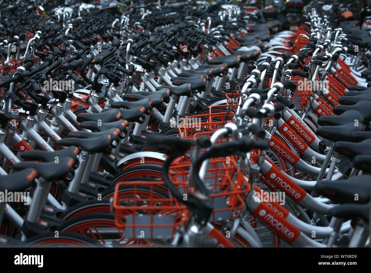 Fahrräder der Chinesischen bike-sharing Diensten Mobike sind auf einem Parkplatz in Shanghai, China, 28. Februar 2017 gesäumt. Mehr als 4.000 'Inhaftierung' bicy Stockfoto