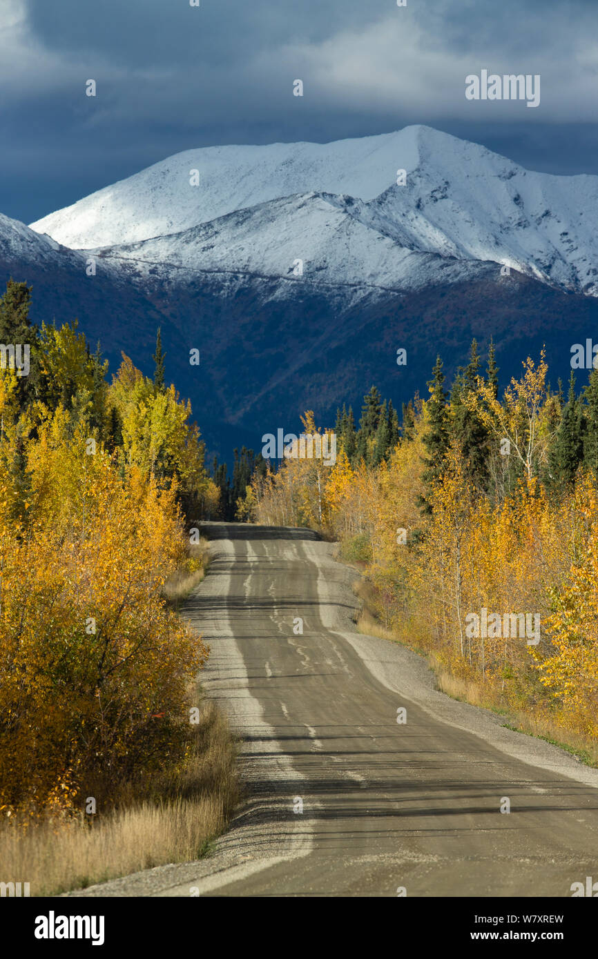 Straße nach Keno, mit schneebedeckten Berg und Beben Aspen (Populus tremuloides) Silver Trail in der Nähe von Mayo, Yukon, Kanada, September 2013. Stockfoto