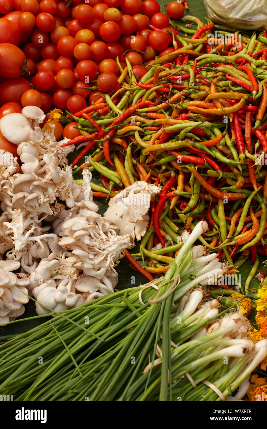 Obst und Gemüse für den Verkauf auf dem Markt in Luang Prabang, Laos, März 2009. Stockfoto