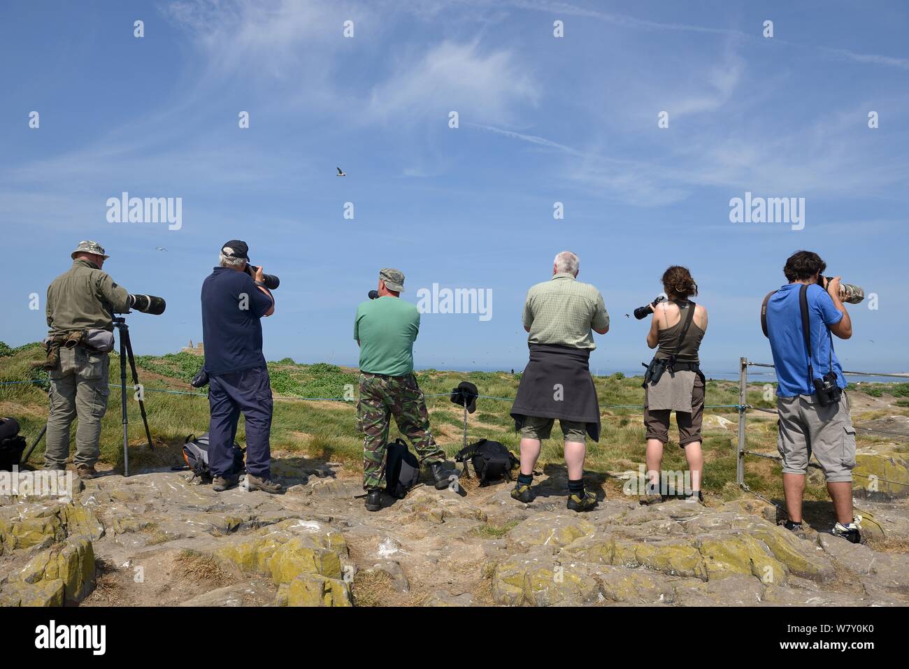 Fotografen und Vogelbeobachter am Inneren Farne, Farne Islands, Northumberland, Großbritannien, Juli. Stockfoto