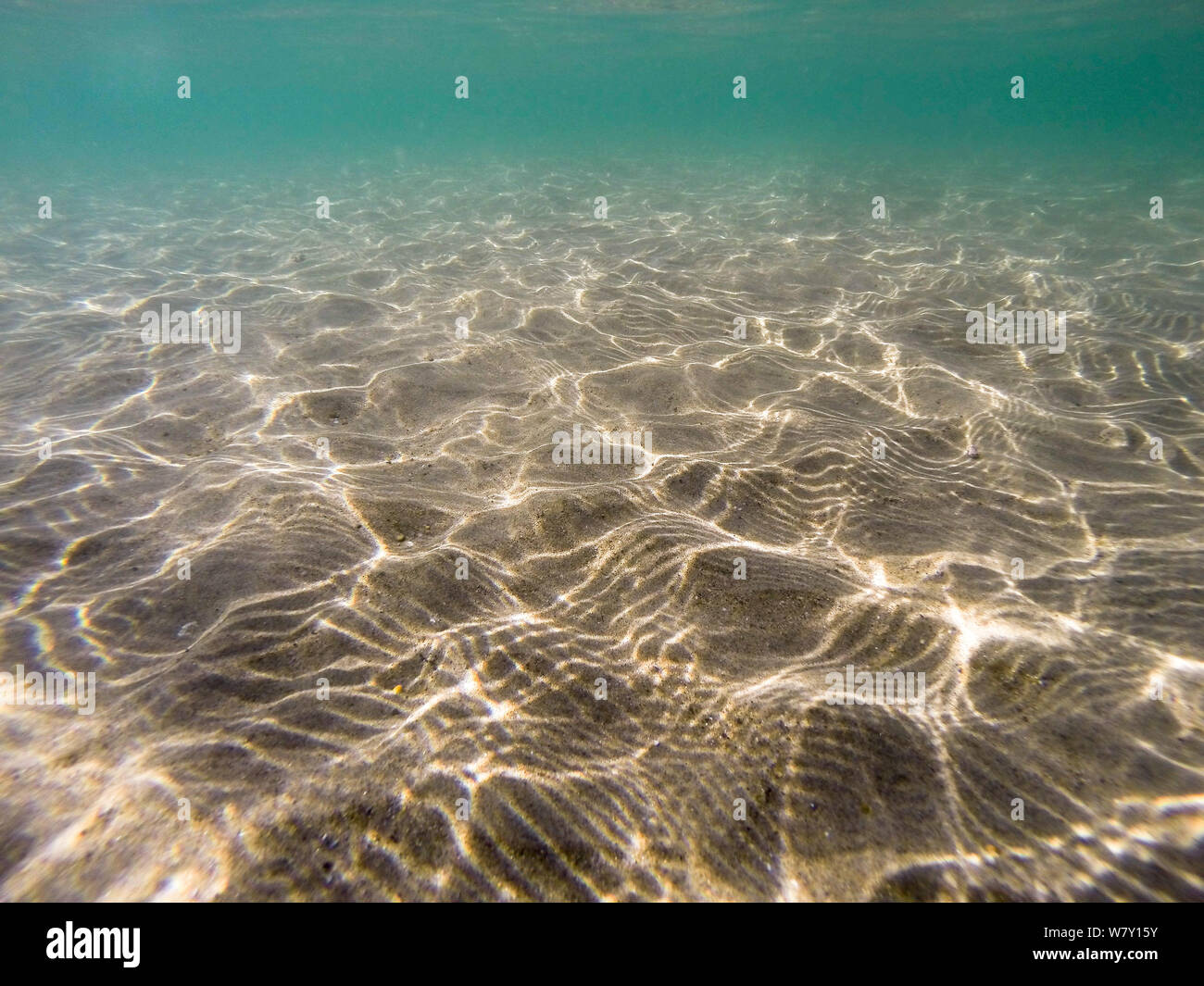 Unterwasseransicht Sandstrand bei Flut, Birarritz, Frankreich, September 2014. Stockfoto