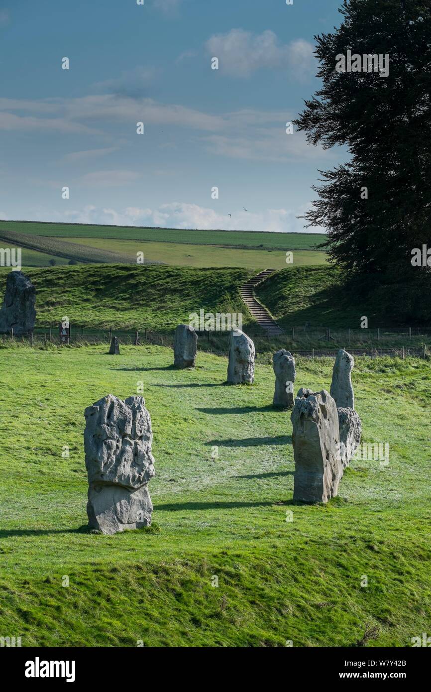 Standing Stones, Avebury, Wiltshire, Großbritannien, Oktober 2014. Stockfoto