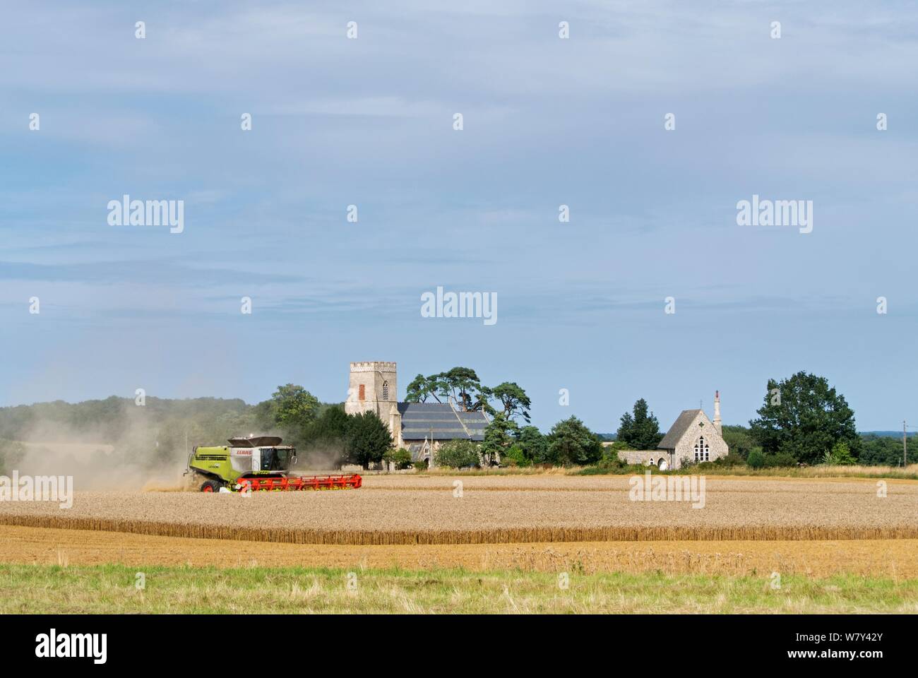 Mähdrescher im Feld von Weizen. Gunthorpe, UK, August 2014. Stockfoto