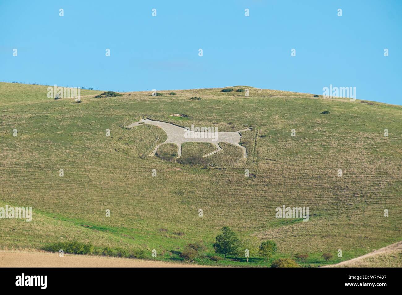 Pewsey White Horse, Wiltshire, Großbritannien, Oktober 2014. Stockfoto