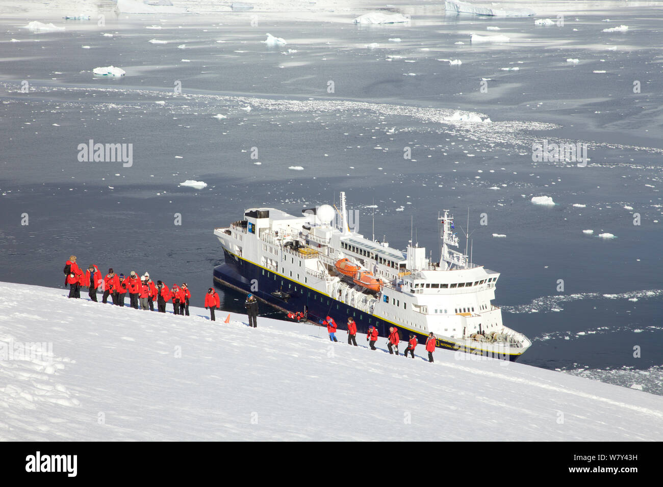 Touristen wandern bis Schneefeld an Neko Harbour, Andvord Bay, Antarktis, Februar 2011. Stockfoto