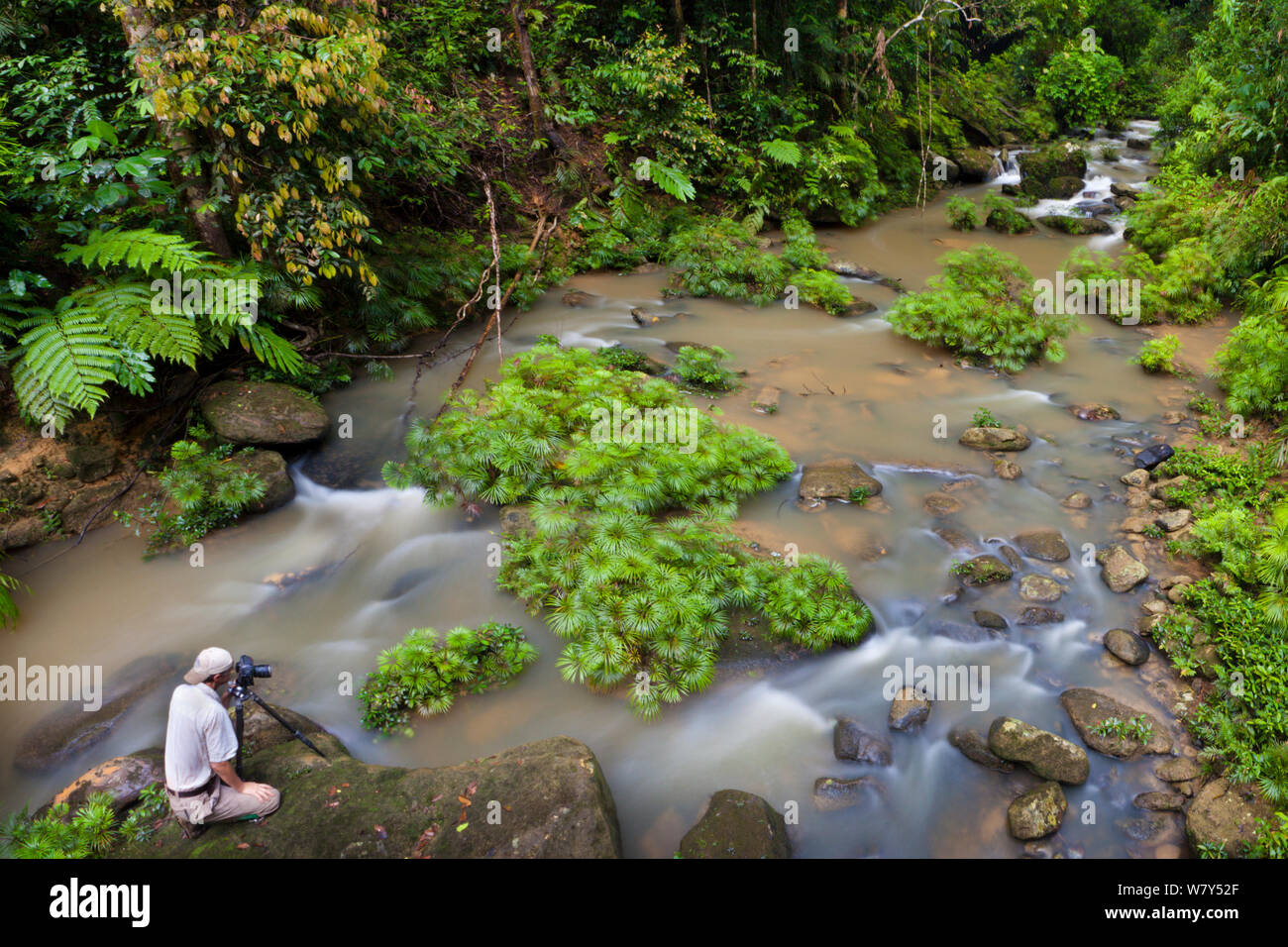 Fotograf bei Nebenfluss des Maliau Fluss, südlichen Plateau des Maliau Becken, Sabah, Borneo, Mai 2011. Stockfoto