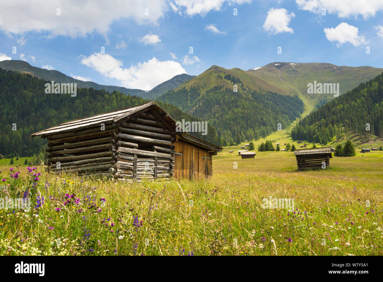 Scheunen in Almwiese. Nordtirol, Österreichischen Alpen, Juli 2014. Stockfoto