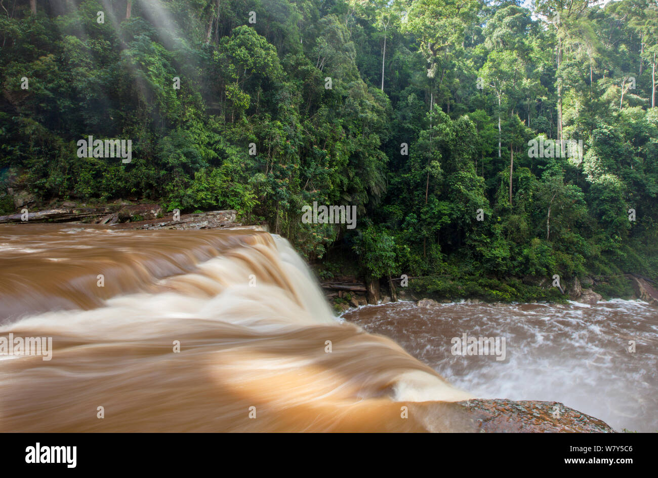 Maliau fällt auf die Maliau Fluss, Sabah, Borneo, Mai 2011. Stockfoto