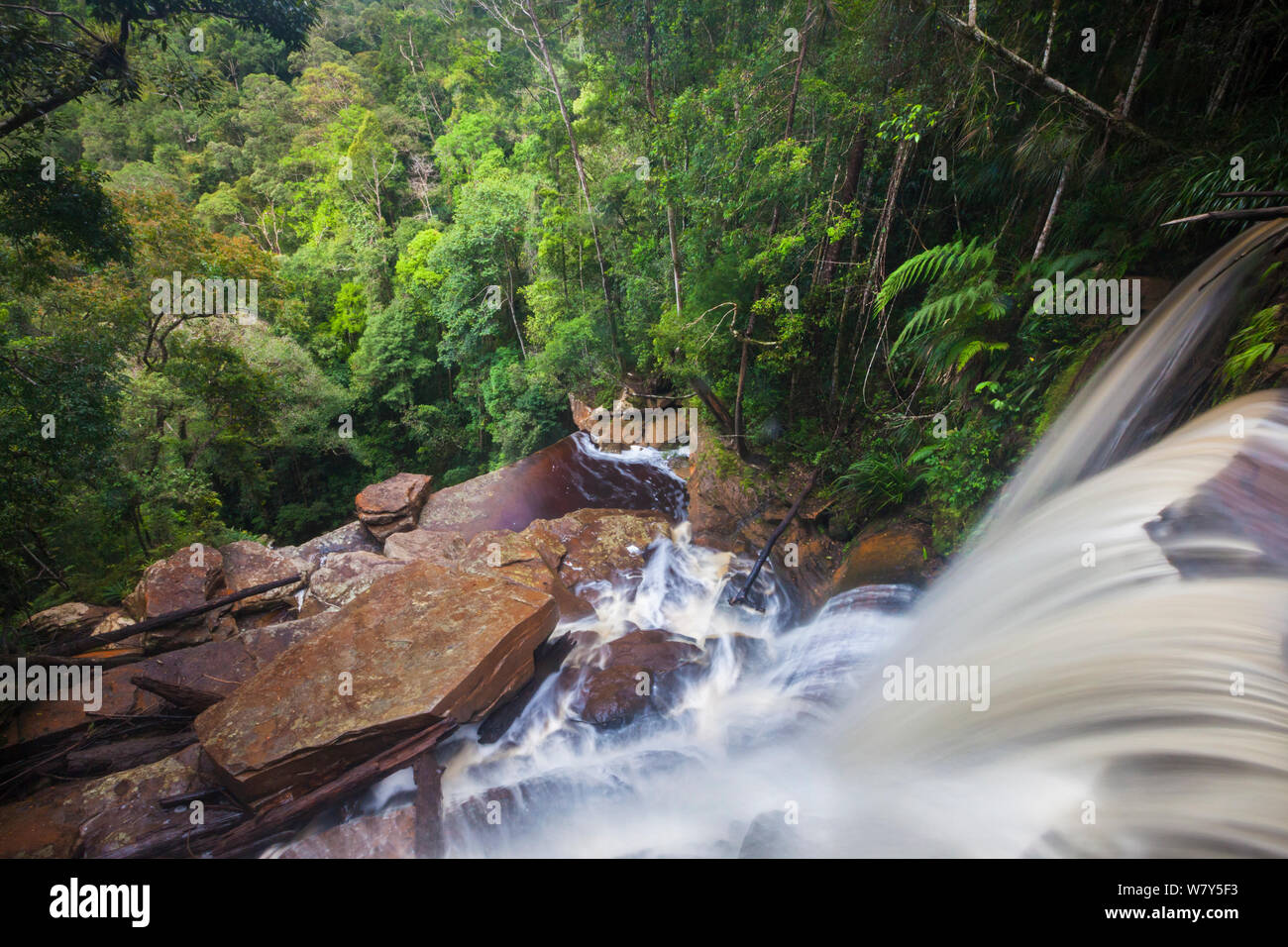 Giluk liegt am Rande des südlichen Plateau, Maliau Becken, Borneo, Mai 2011. Stockfoto