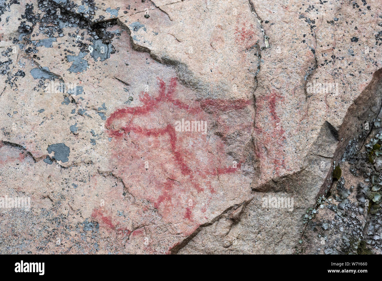 Eurasischen Elch (Alces alces) 5000 Jahre altes Gemälde in der Saraakallio Felsmalereien, Saraakallio, Laukaa, Niedrelande, Lansi-ja Sisa-Suomi/Central und Western Finland, Finnland. November Stockfoto