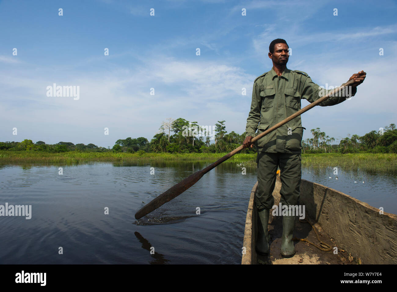 Hotelführer paddeln Kanu in Lekoli Fluss, Republik Kongo (Kongo-Brazzaville), Afrika, Juni 2013. Stockfoto