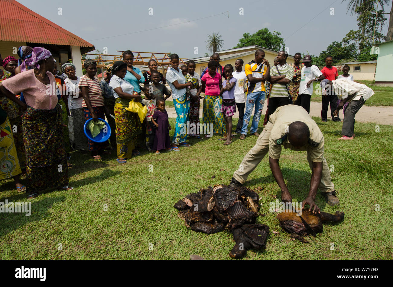 Guard verteilen Buschfleisch konfisziert am Krankenhaus in der Nähe von Conception, Republik Kongo (Brazzaville), Afrika, Juni 2013. Stockfoto