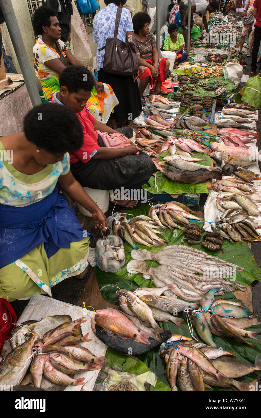 Gemischtes Riff Fischen und Kraken für Verkauf, Suva Seafood Market, Viti Levu, Fidschi, South Pacific, April 2014. Stockfoto