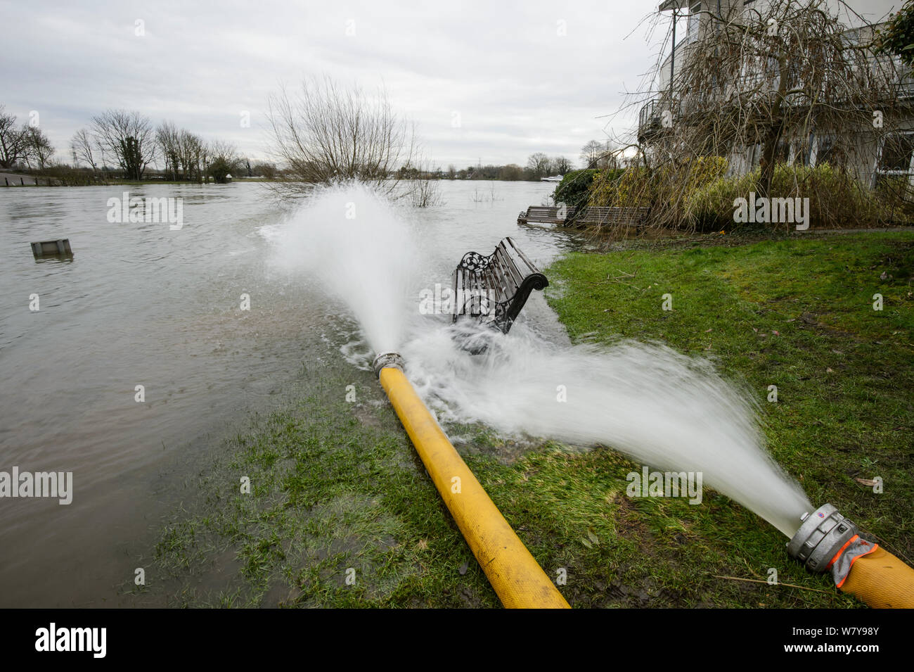 Schläuche verwendet floodwater von Themse zu Pumpe weg von Häusern, Chertsey, Surrey, Großbritannien, Februar 2014. Stockfoto