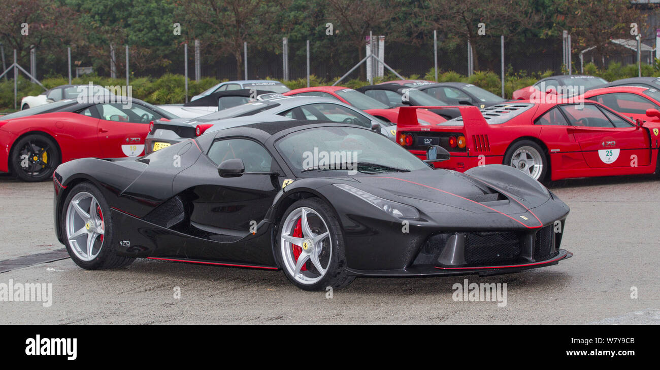 Ferrari Sportwagen um 70 Fans sind auf dem Display während der 70. Jahrestag des Ferrari und des 30. Jahrestags der Ferrari Besitzer "Club für Hong Kong ich Stockfoto