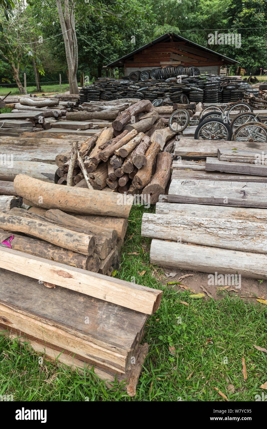 Siam Palisander (Dalbergia cochinchinensis) Holz- und Motorrad- Räder, von Wilderern konfisziert, gespeichert als Beweis, Thap Lan-Nationalpark, Dong Phayayen-Khao Yai Forest Complex, Ost Thailand, August. Stockfoto