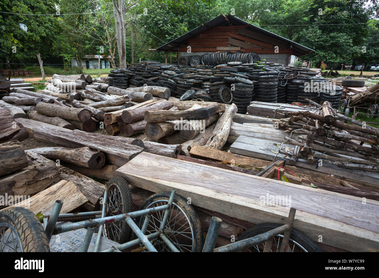Siam Palisander (Dalbergia cochinchinensis) Holz- und Motorrad- Räder, von Wilderern konfisziert, gespeichert als Beweis, Thap Lan-Nationalpark, Dong Phayayen-Khao Yai Forest Complex, Ost Thailand, August. Stockfoto