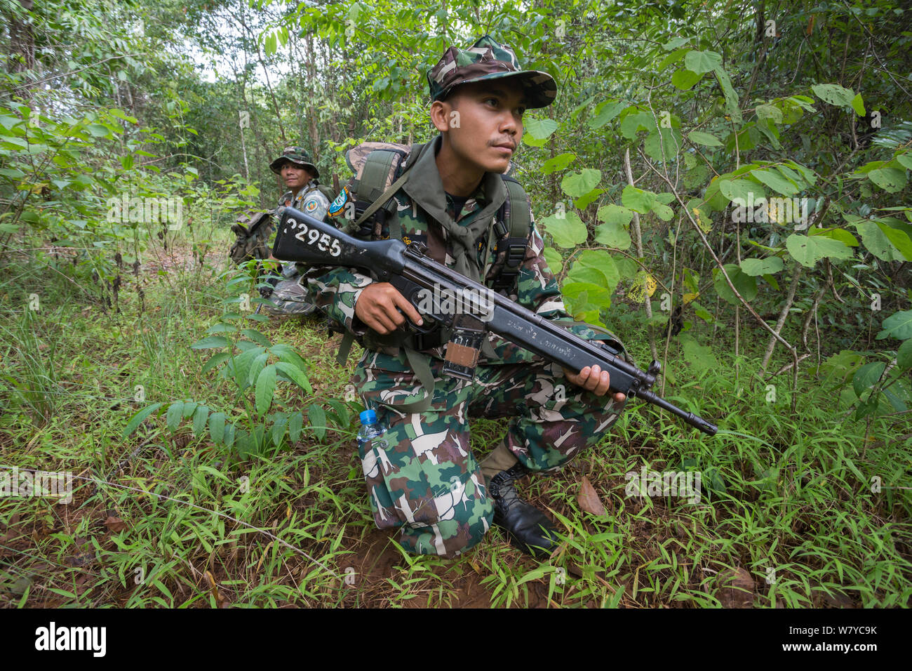 Anti-wilderei Patrouille, Thap Lan-Nationalpark, Dong Phayayen-Khao Yai Forest Complex, Ost Thailand, August, 2014. Stockfoto